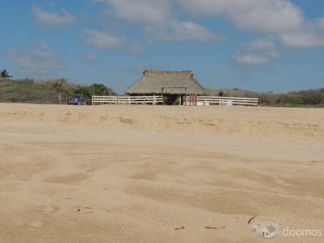 Terreno en Venta en La Boquita Tomatlán 5 HA