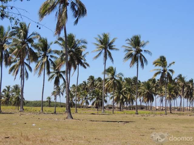 Terreno en Venta en Villa del mar, Costalegre Jalisco