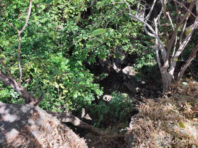 Terreno en Venta col. Matatlan, Zapotlanejo, Jalisco