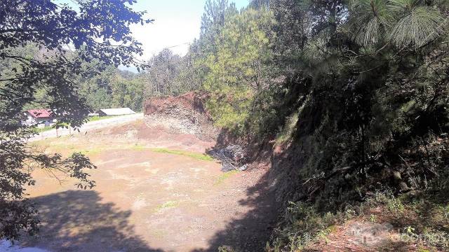 Terreno venta bosque río Rancho Avándaro