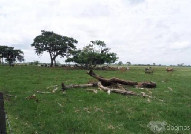 TERRENO EN VENTA EN CHICHICAPA