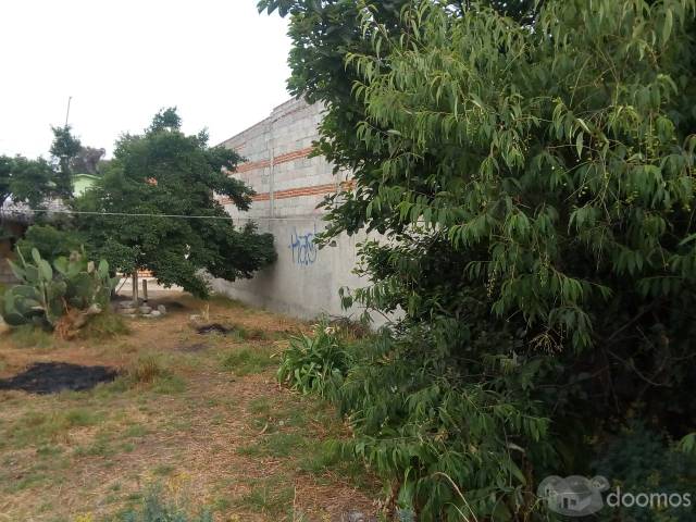 Venta de Lote Económico Apizaco, Tlaxcala