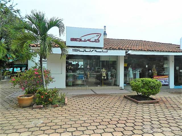 LOCAL COMERCIA IXTAPA GRO.