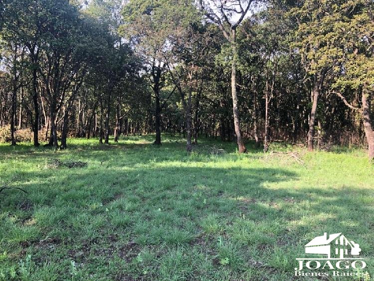 Terreno en Venta 11Ha, Mazatla, Jilotzingo, Edo. de Mex