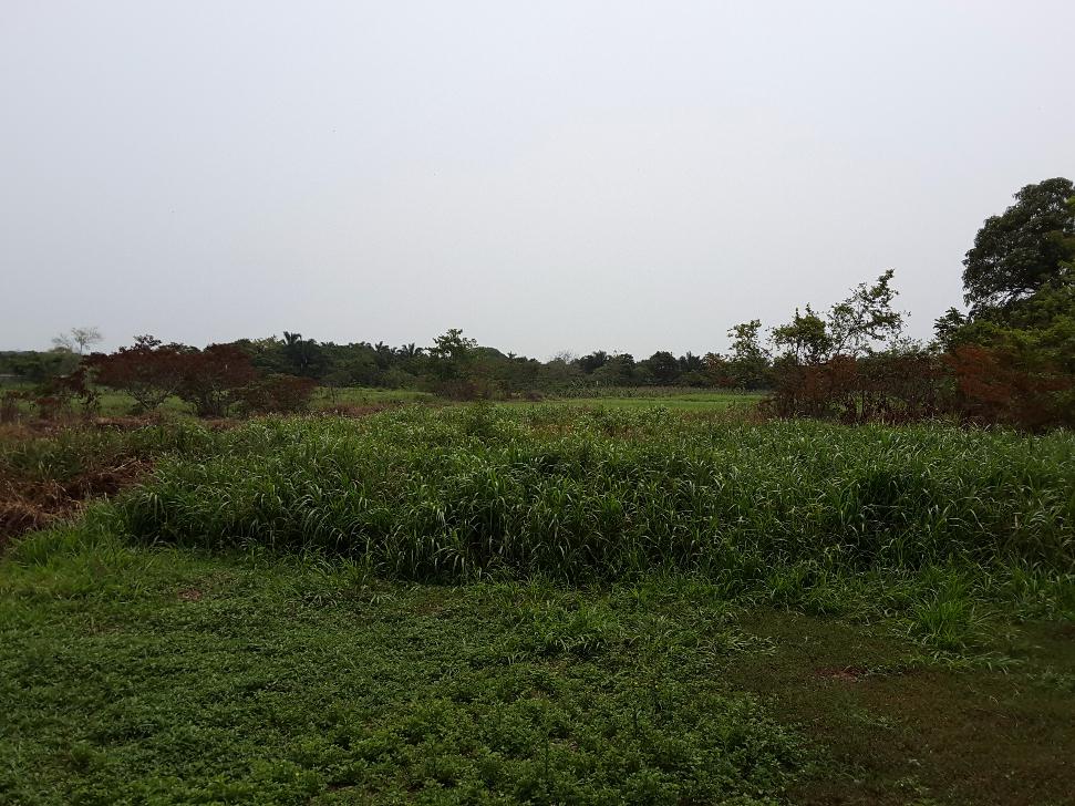 Terreno en Venta, Municipio de Ixhuatlán del sureste.