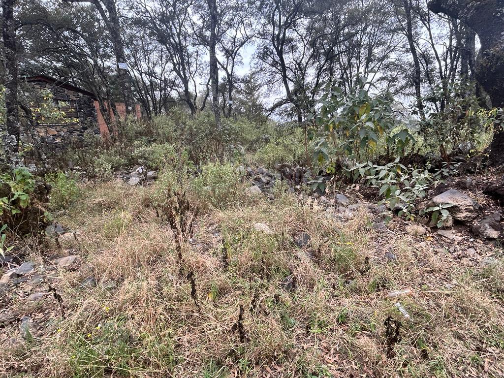 Terreno en  venta en el pedregalito Ocoyoacac