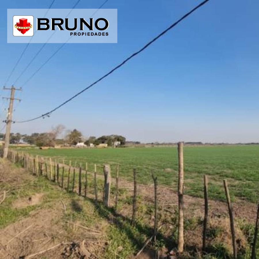 Campo en venta (10 hectáreas) en Marcos Paz