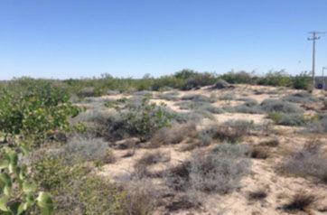 Terreno en venta en Bahía de Kino Nuevo, en Sonora.