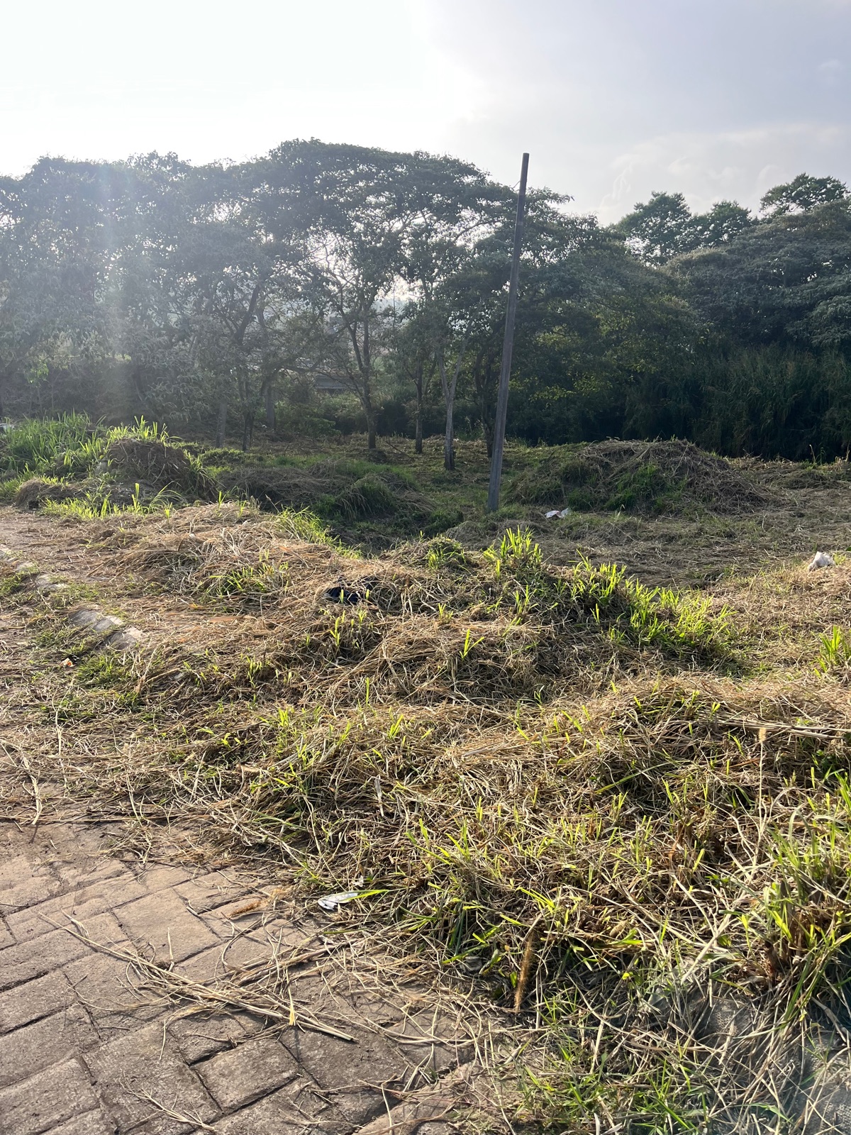 Terreno en Venta en Xalapa, Monte Magno