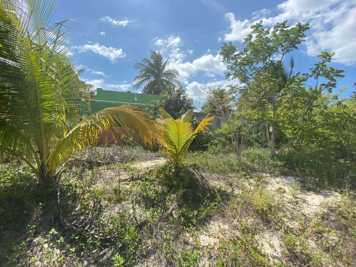 Terreno en Venta en Chelem Segunda fila