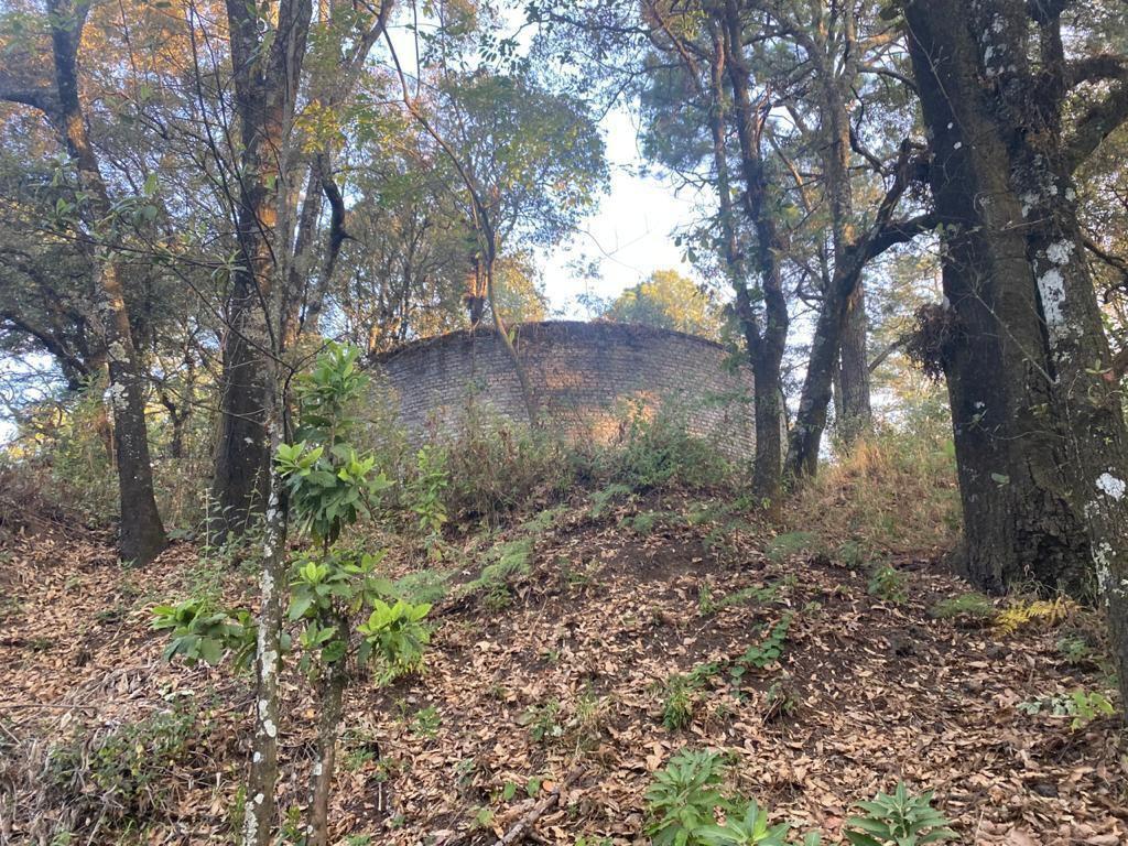 GRAN TERRENO EN ZONA ARBOLADA EN PARAJE CUACUAMETLA