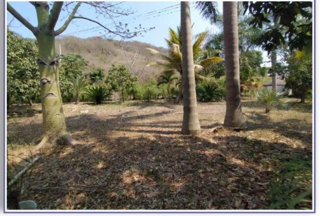 Venta de Terreno en Jalcomulco