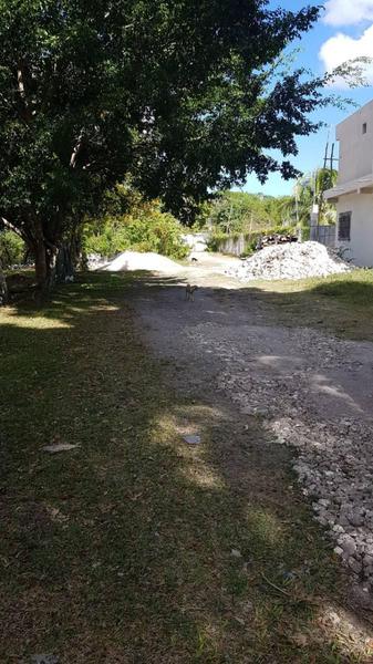 terreno en el pueblo de bacalar las torres