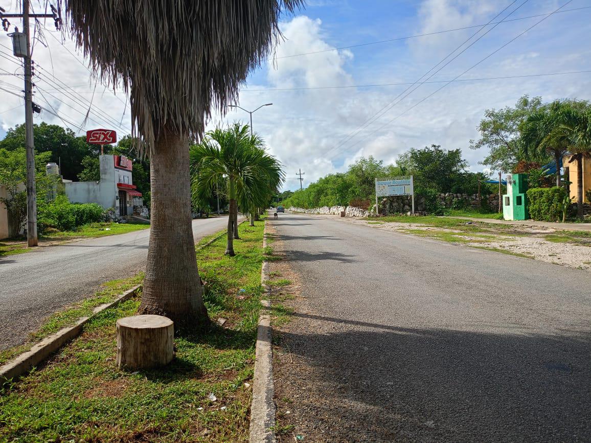 TERRENO DE 15 HECTAREAS EN HOCABA, YUCATAN