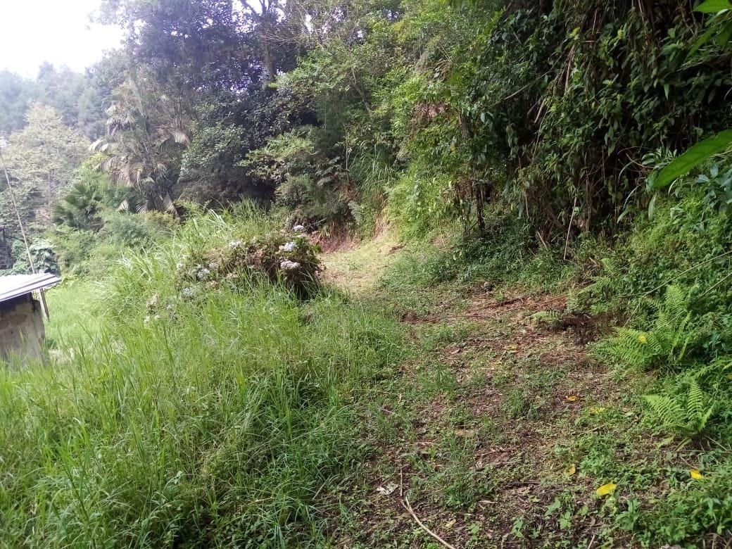 VENTA DE HECTÁREAS EN COATEPEC