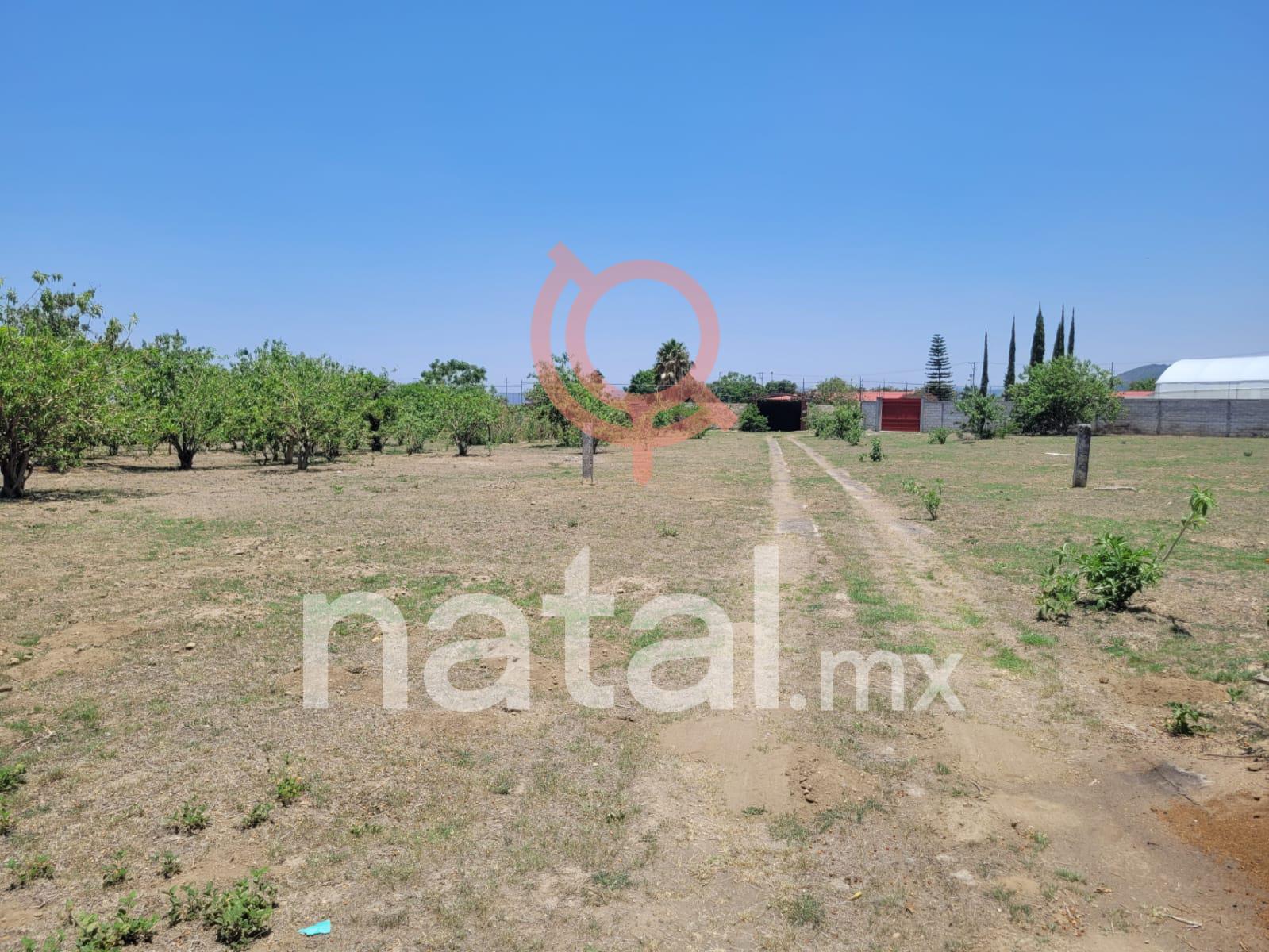 TERRENO EN VENTA ATLIXCO PUEBLA