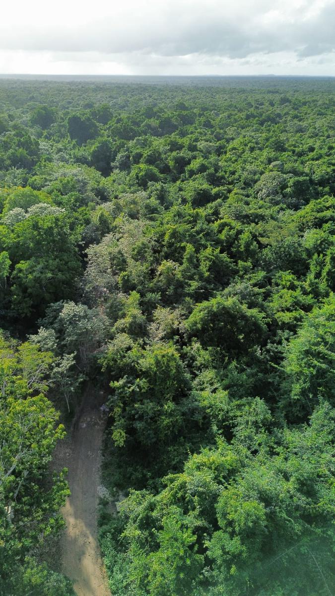 TERRENO EN VENTA EN BACALAR