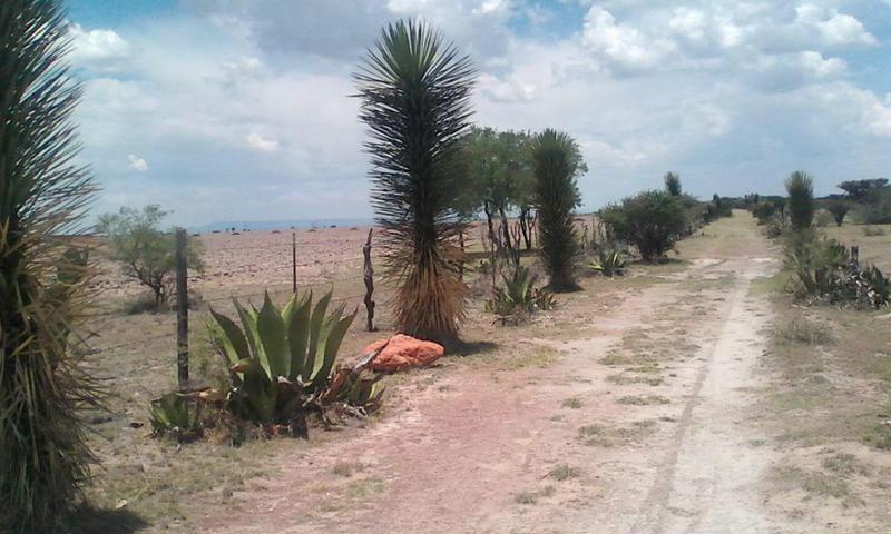 Venta de terreno en El Milagro, el Llano, Aguascalientes.