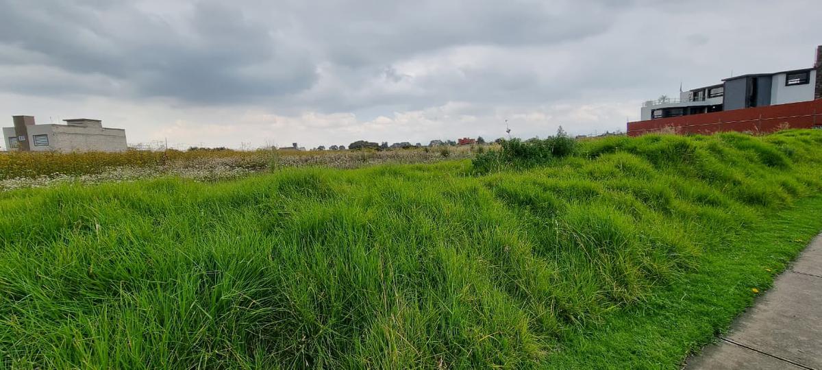 TERRENO EN VENTA AVE. CAMINO VIEJO A SAN MIGUEL CHAPULTEPEC A UNOS METROS DEL SALON DUXELLES