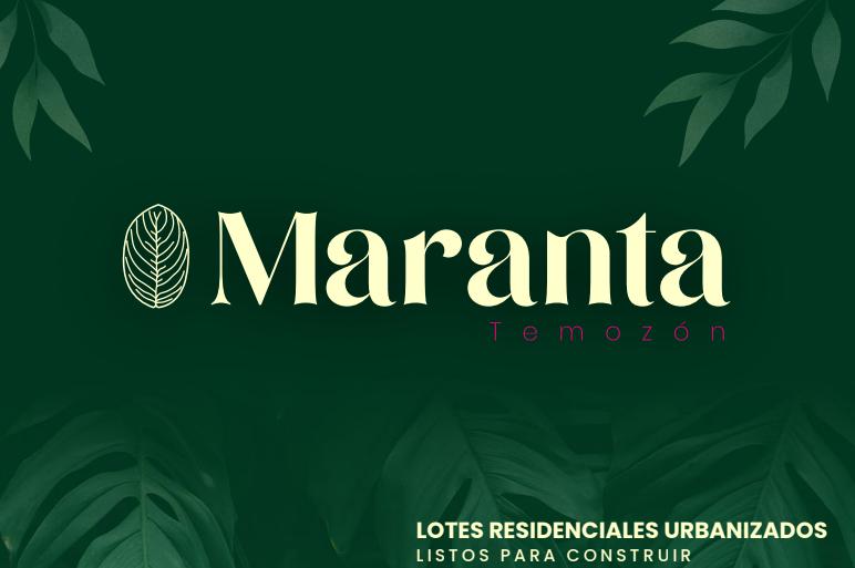 LOTES RESIDENCIALES EN VENTA  MARANTA 1000 M2 TEMOZON NORTE