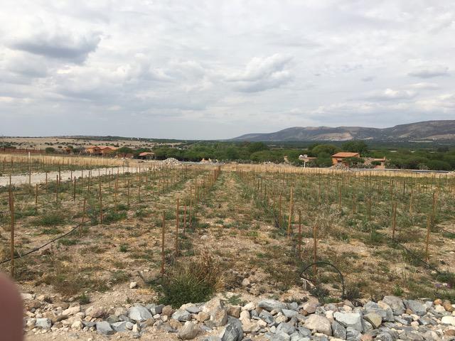 Terreno Vacacional o de Retiro en San Miguel de Allende Guanajuato