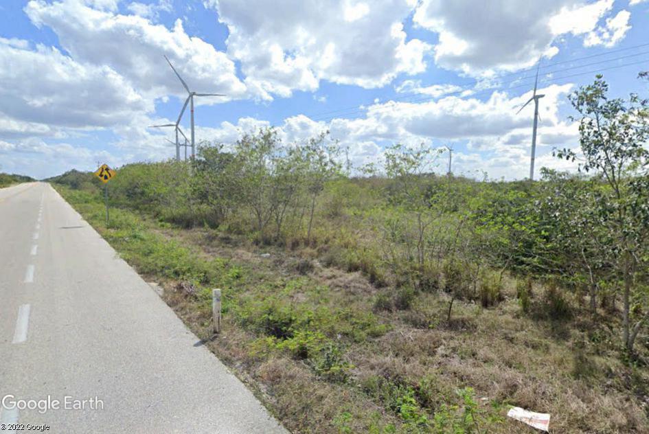 Terreno de 9.9 ha a pie de la Carretera Mérida - Chicxulub Puerto