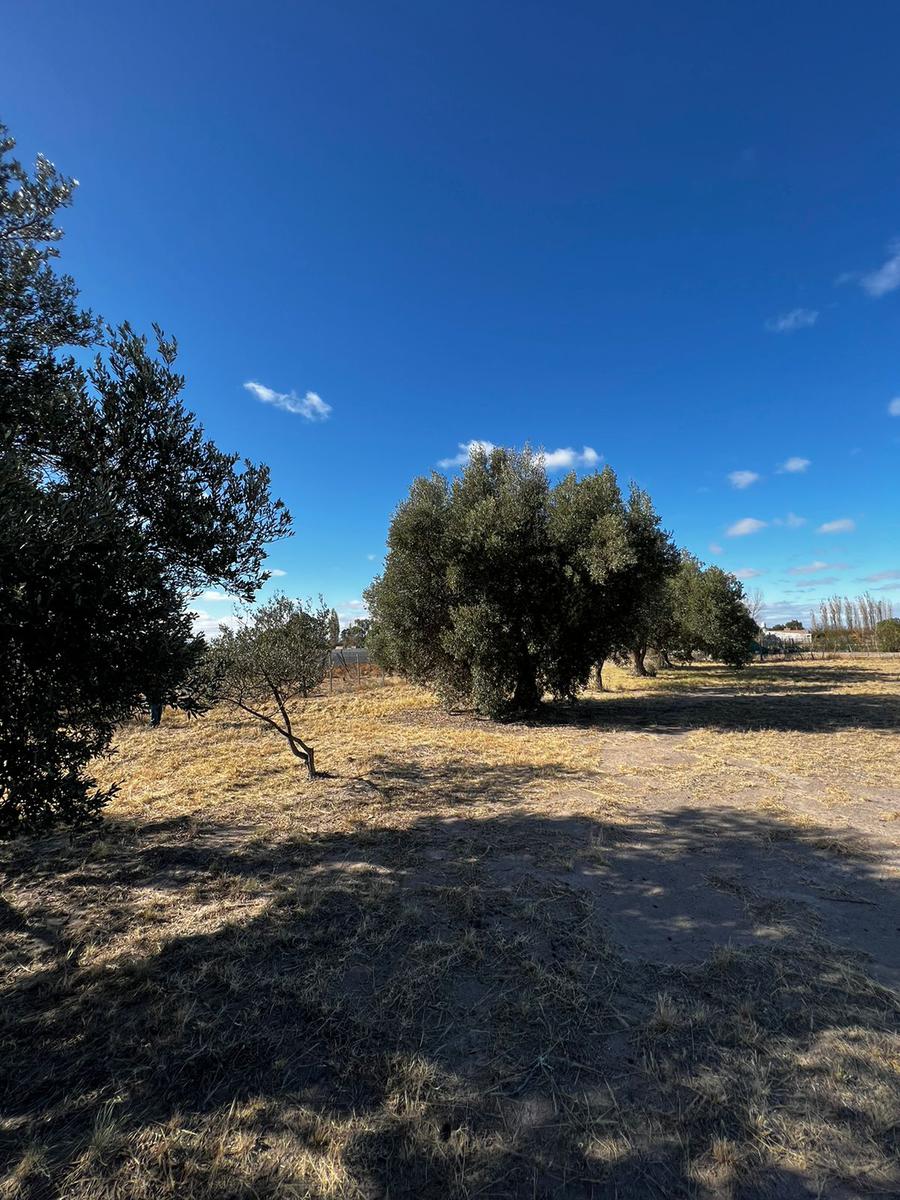 Terreno en  Barrio Solares, San Rafael, Mendoza