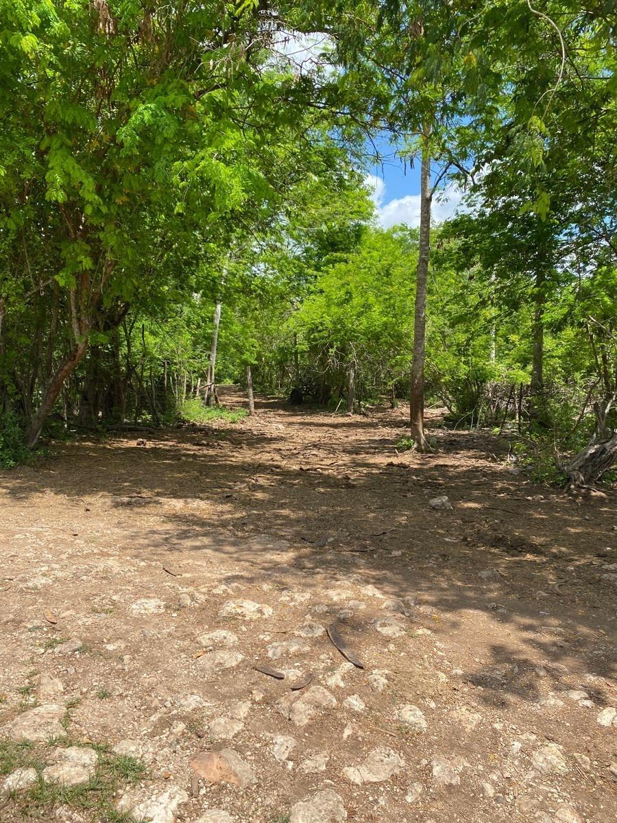 Rancho en Tunkas 680 hectáreas propiedad privada sobre carretera