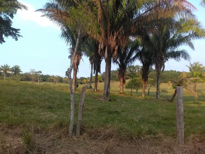 Terreno en venta en Las Choapas - cerca de autopista.