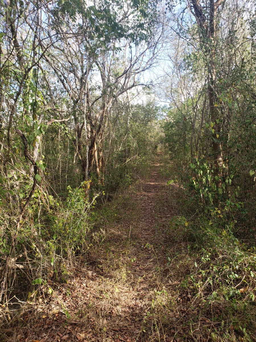 Terreno en Venta en Cuzamá