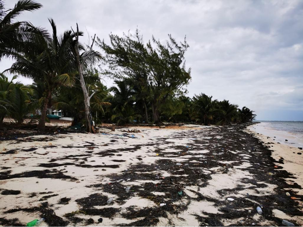 Terreno en Venta en Mahahual