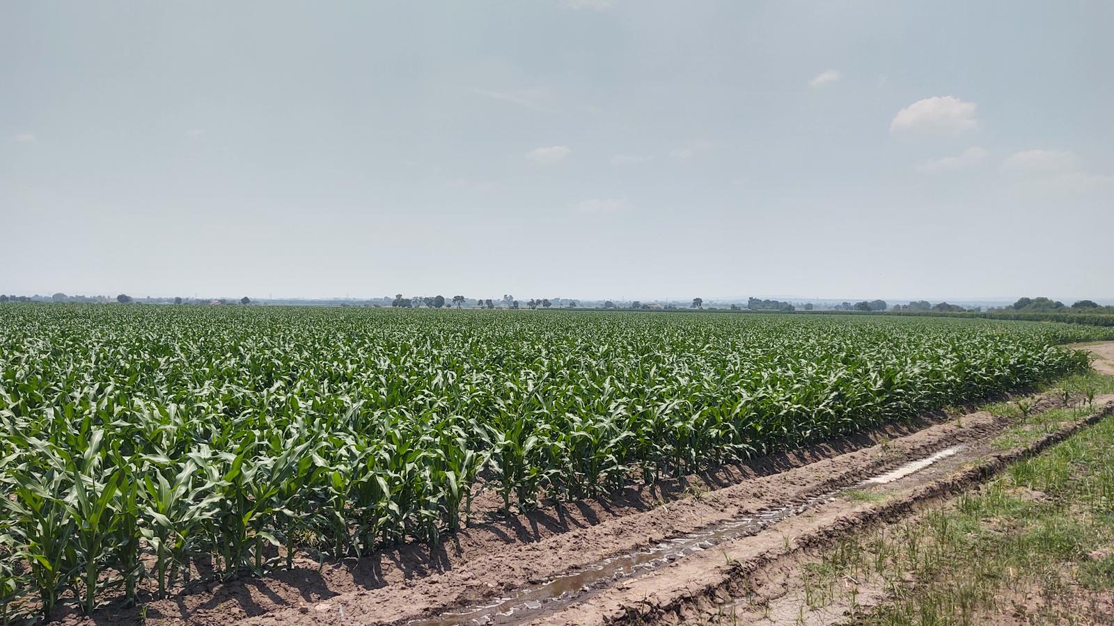 Rancho En Venta Purísima Del Rincón Guanajuato