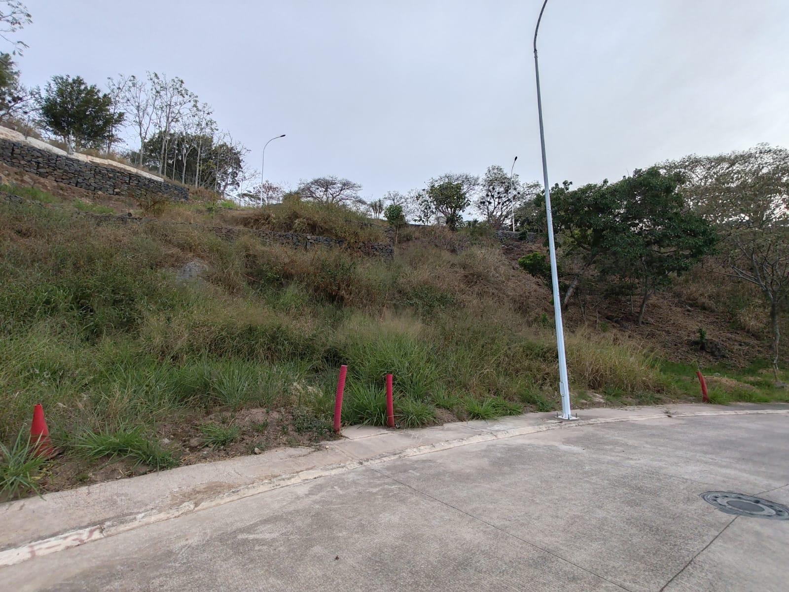 Terreno en Venta en Fraccionamiento La Cúspide