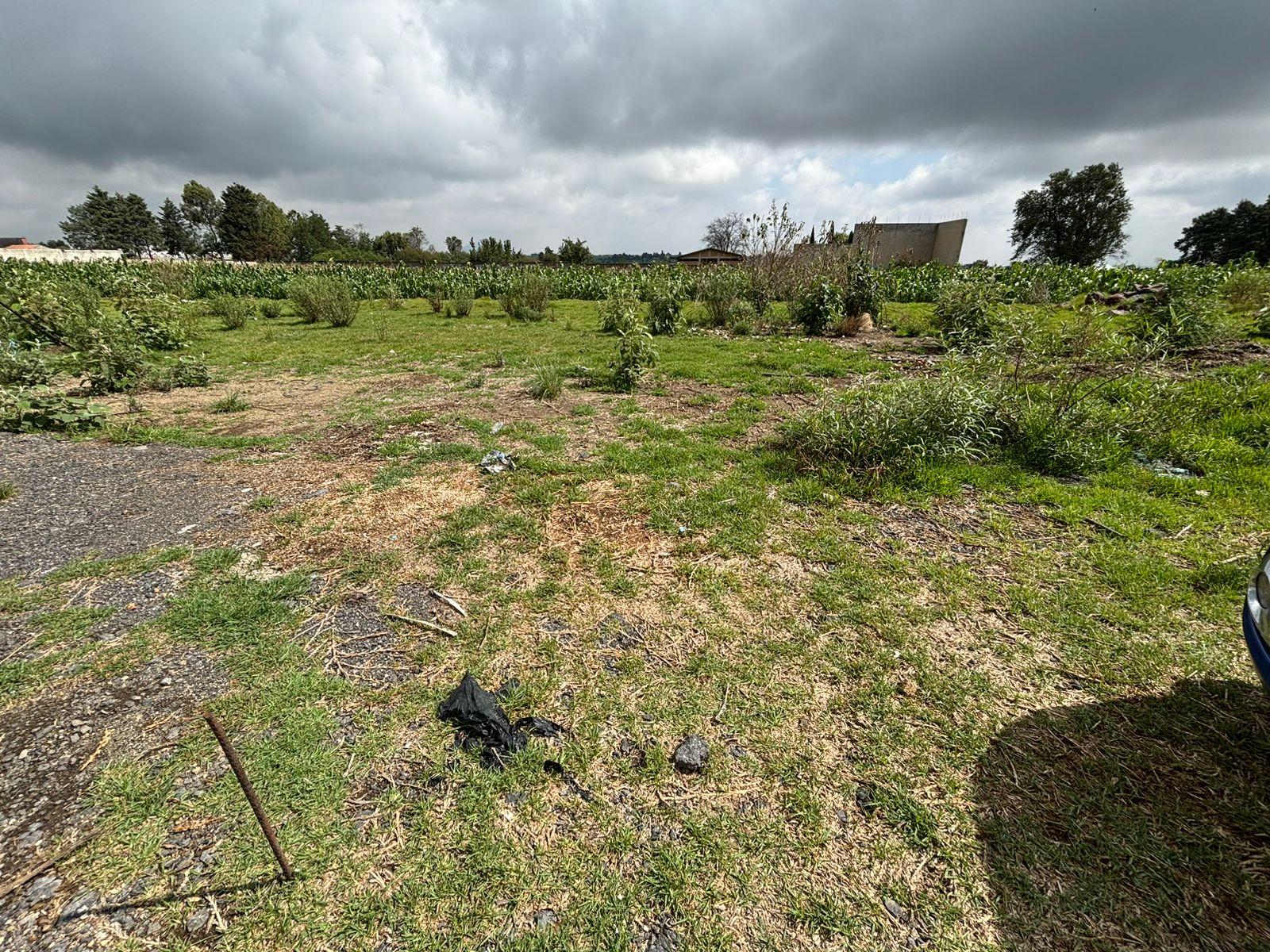 Terreno en Venta en Carretera Metepec Zacango, Municipio de Calimaya.