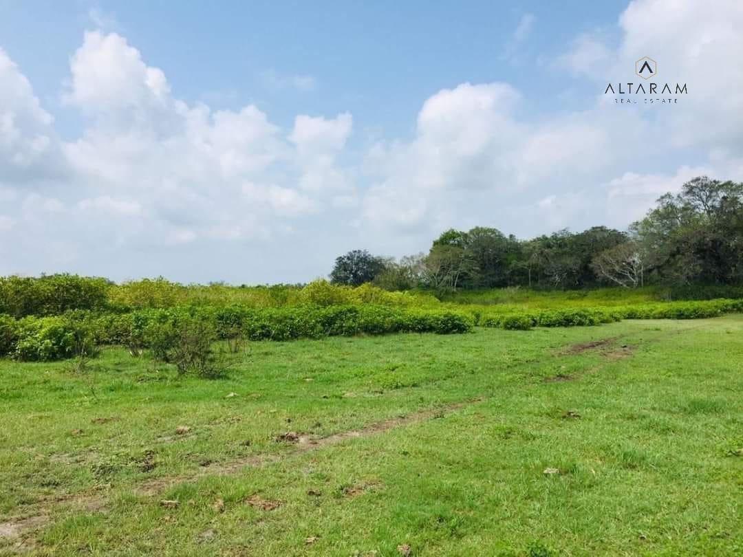 RANCHO EN VENTA TAMIAHUA VERACRUZ