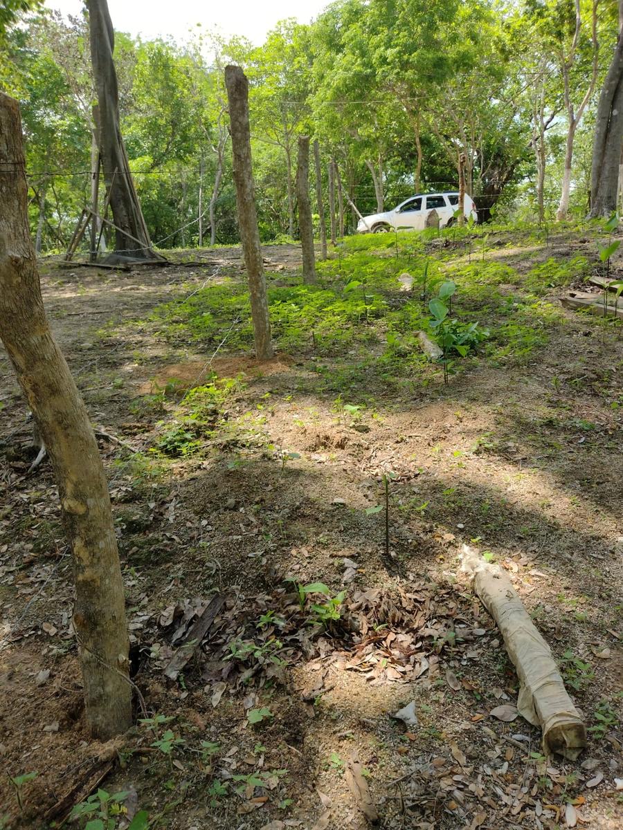 Terreno en  Santa María Huatulco, La Erradura