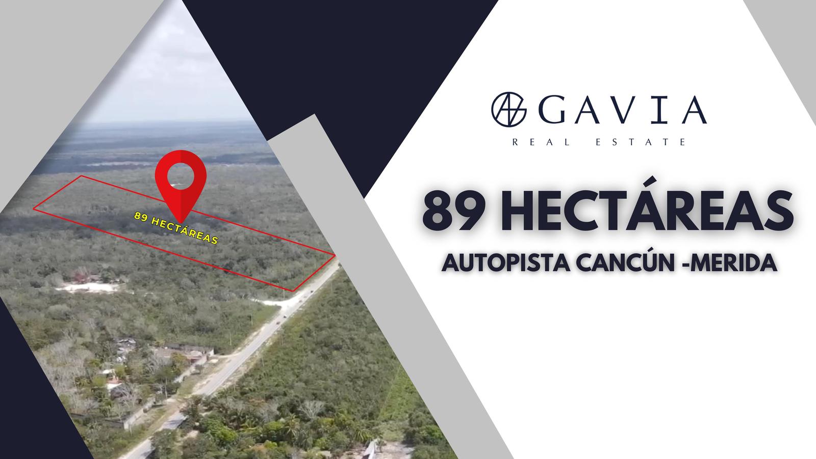 Terreno 89 Hectáreas Autopista Cancún-Merida