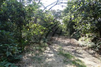 Terrenos en Venta en  Jalmolonga, Malinalco