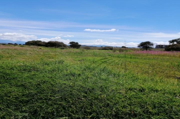 Terreno en Renta en San Miguel Totocuitlapilco, Metepec