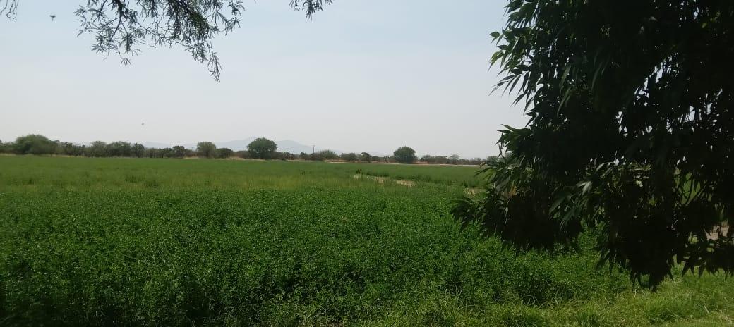 Terreno en Poblado comunal La Loma de los Negritos, Aguascalientes