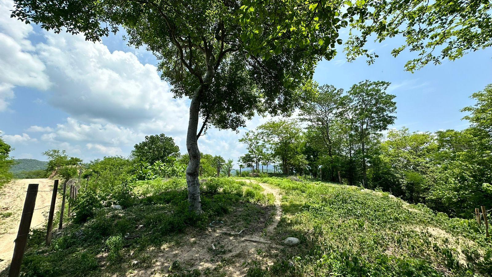 Terreno en  Colonia Vicente Guerrero