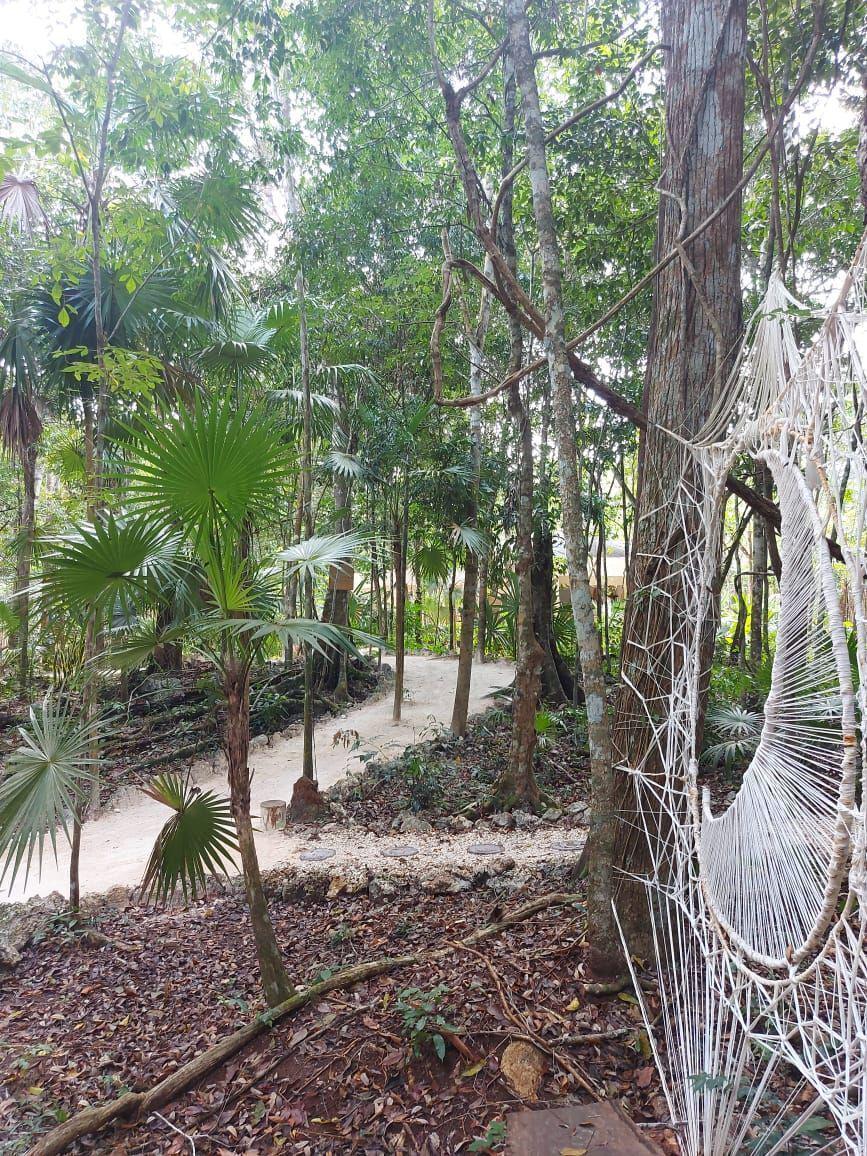 Terreno en la Ruta de los Cenotes