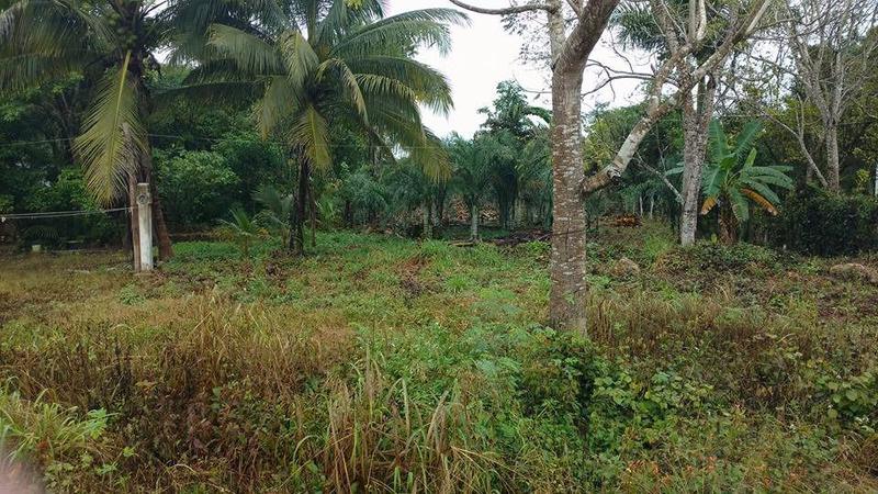 Terreno en venta en Carlos A Madrazo