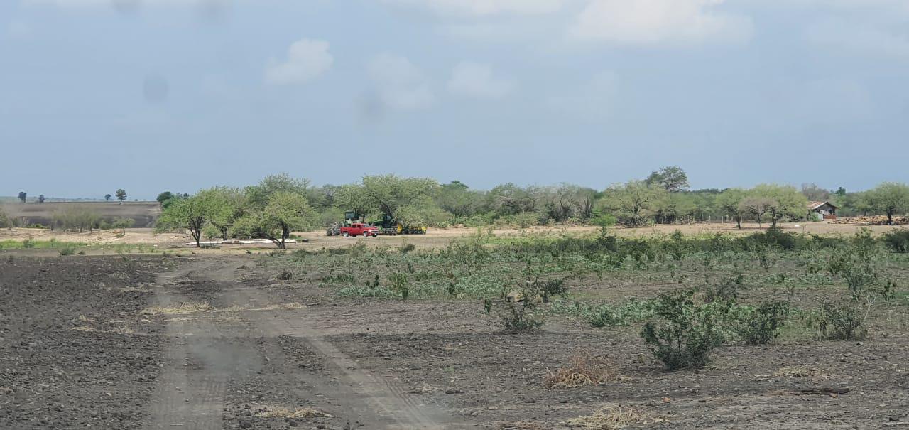 RANCHO EV VENTA EL PARRAPA CARRETERA TMPICO- MANTE EN CD. GONZALEZ.