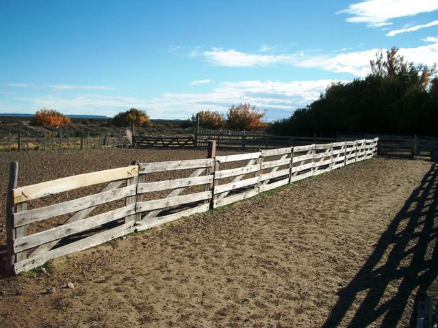 Campo - Camarones