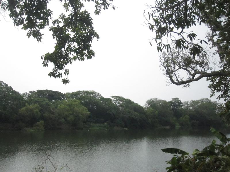 TERRENO A LA ORILLA DEL RÍO EN PLAYA DE VACA