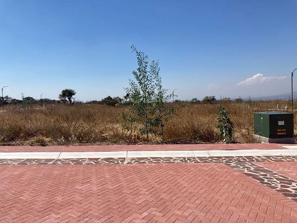 Terreno en Venta en Ciudad Maderas Sur II