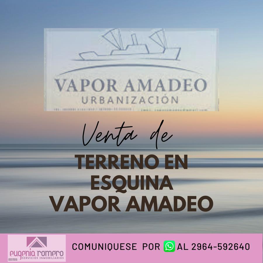 Terreno en  Vapor Amadeo