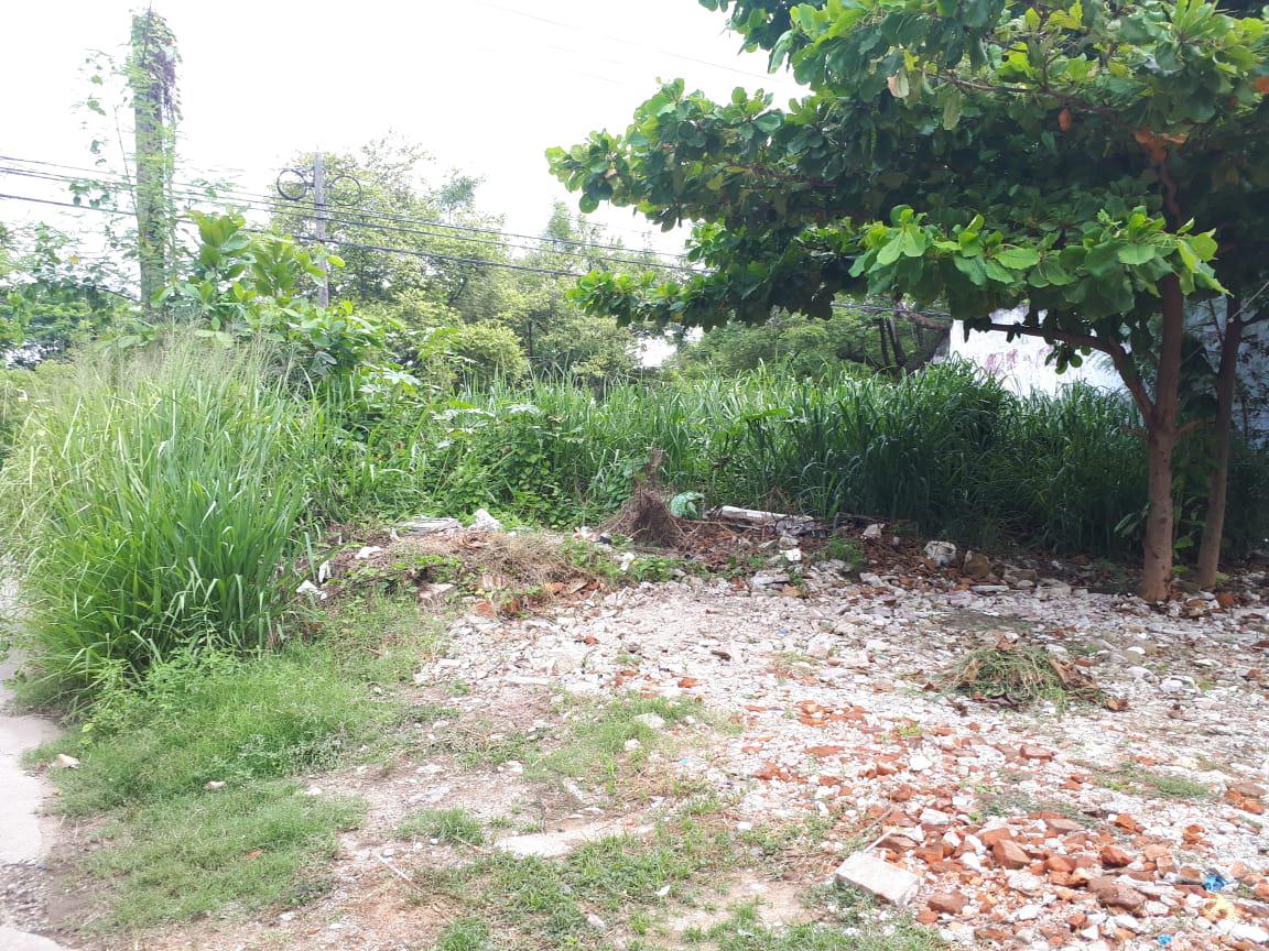 Terreno en  Renta en Gaviotas Norte Villahermosa