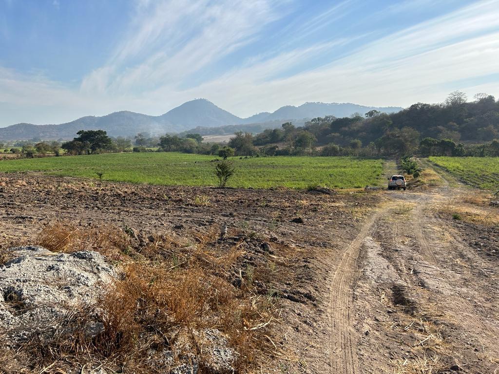 TERRENO EN VENTA TALA JALISCO